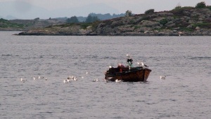 Fiskebåt ved Lundsvågen i Åmøyfjorden utenfor Stavanger  