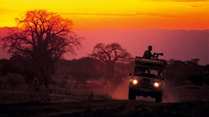 The Big Five jagas  med öga och kamera i ett av världens bästa safariområde, Masai Mara. (solresor)