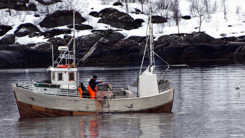 Skreifisker i Austnesfjorden øst for Svolvær. Her fikk man 25 kilo store fisker  et par hundre meter fra land (©otoerres)