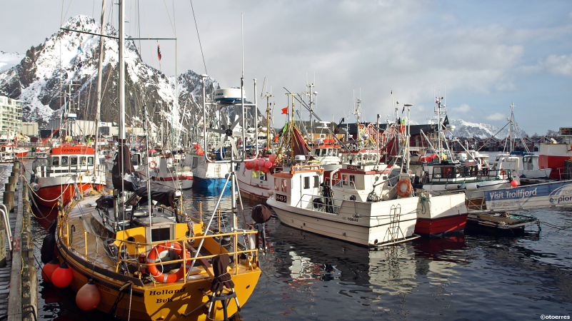 Fiskebåter på havna i Svolvær under årets skreifiske i Lofoten  (©otoerres)